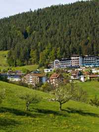 🌟✈️ Baiersbronn Bliss: Top Hotel Pick! 🏨🌲