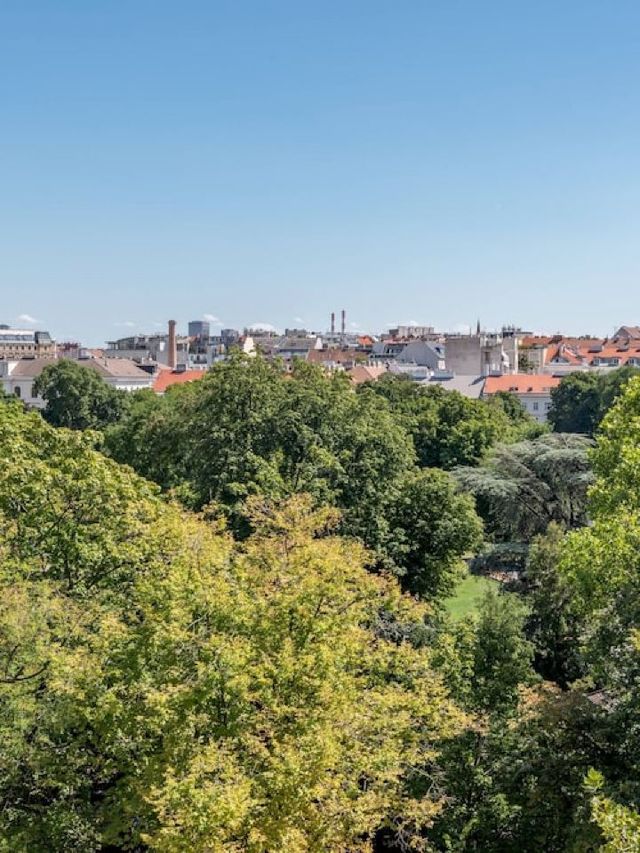 🌟 Vienna's Marriott Magic: Luxe Stays & City Days 🌟