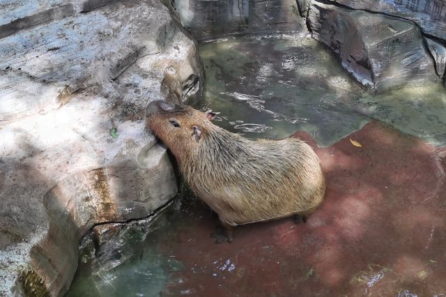 湘湖旁邊隱藏著的海洋館