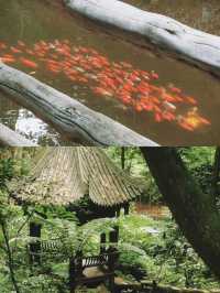 探秘四川眉山青神縣，中岩寺一日心靈之旅！