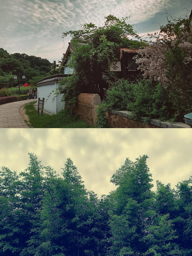 南京不老村︱解開那些不值得一提的迷茫
