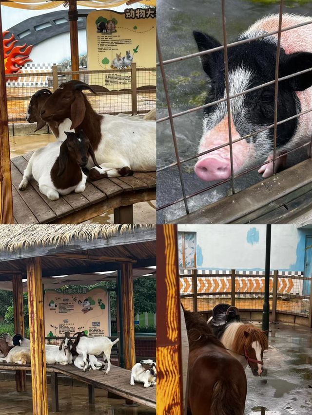 成都   融創水上樂園