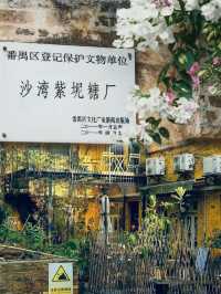 廣州紫泥堂｜小眾電影感建築打卡