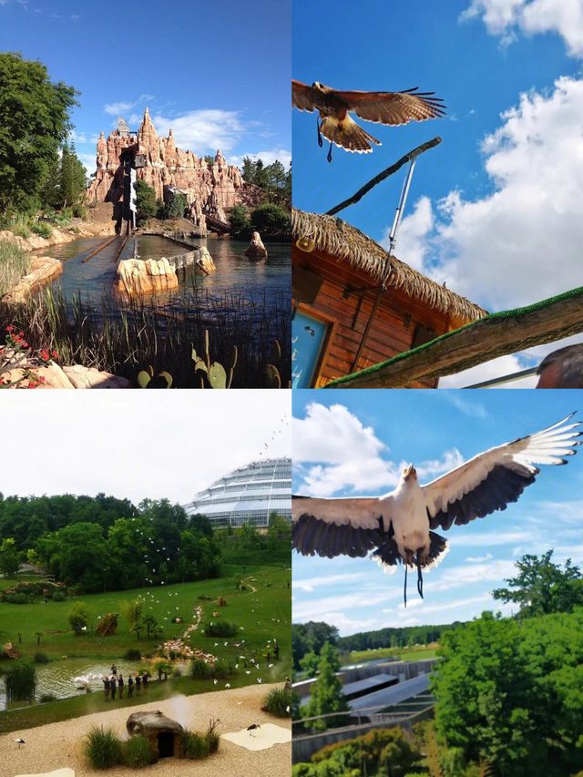 桑頓蒙特卡西諾飛鳥園，兩日遊攻略來啦！