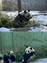 西安：秦嶺四寶科學公園