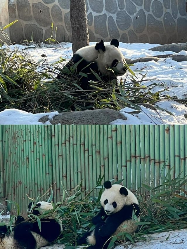 西安：秦嶺四寶科學公園