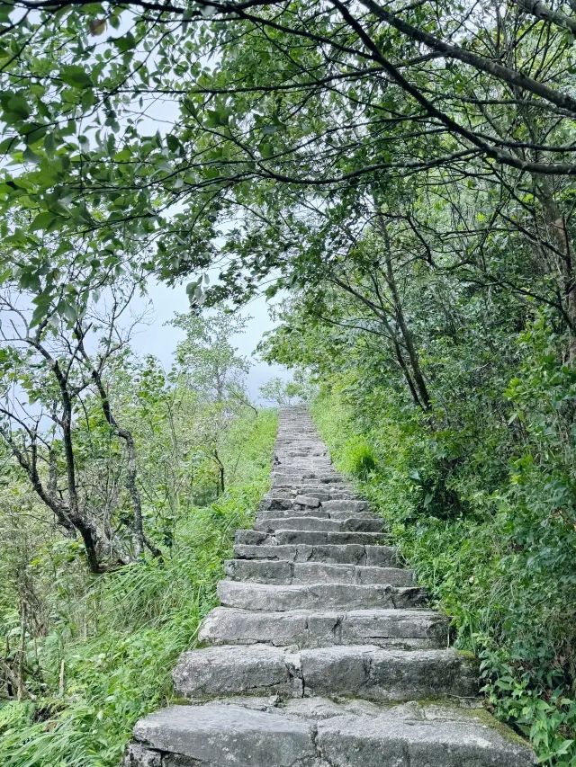 『江西萍鄉·武功山』|打卡蘆溪萍鄉武功山風景區