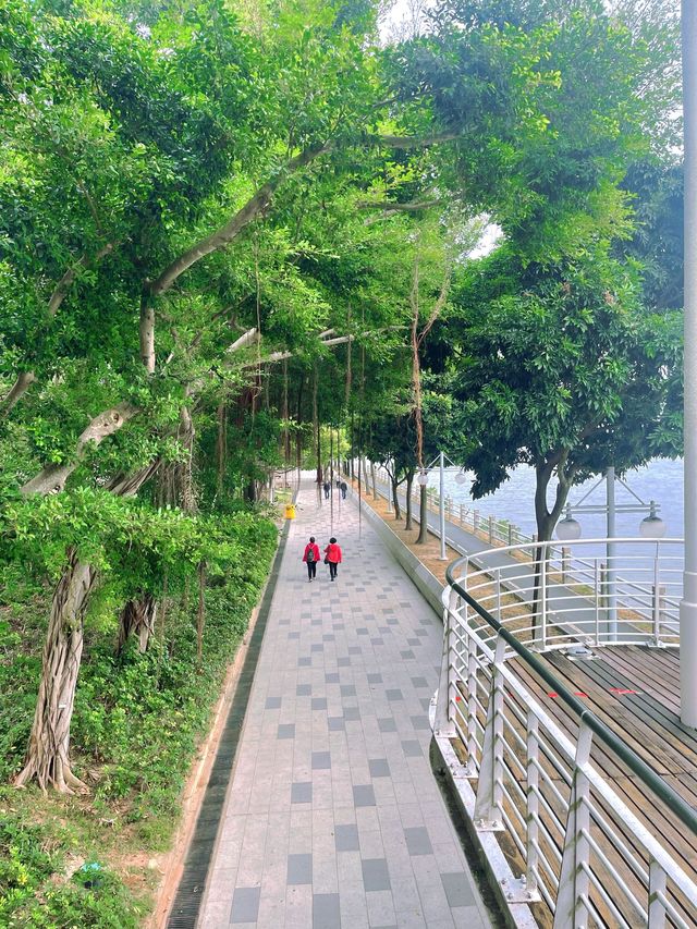 大埔半日遊路線人煙稀少舒服寧靜衝