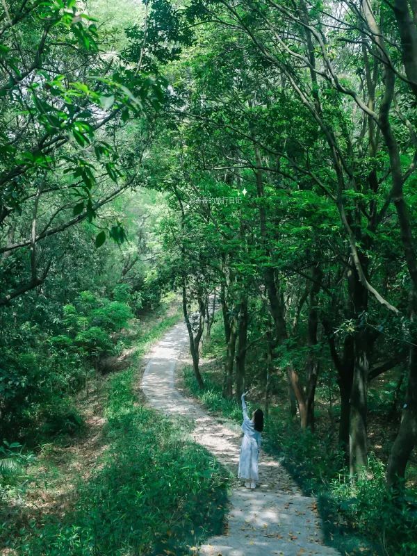 深圳小眾徒步路線，連接公園古鎮的舒適之旅🌳🏘