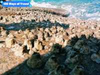 Lost in The Sea: A Paradise Island Wsilingding
