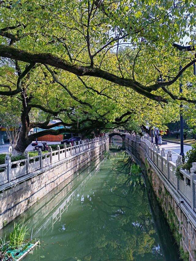 上海周末好去處丨安亭老街
