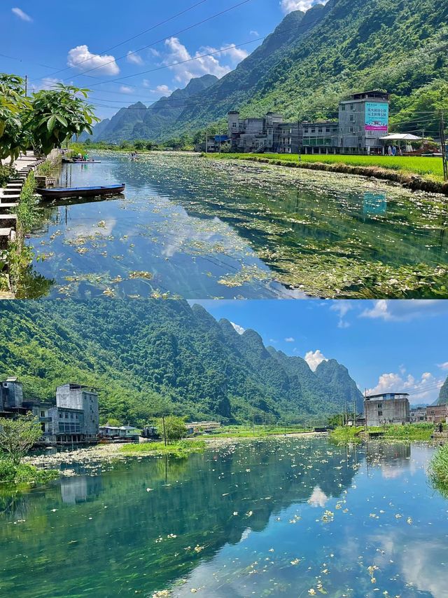 都安澄江會開花的河美得像一幅畫不要