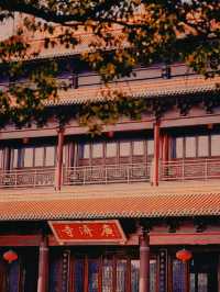 2024一定要同好朋友去芜湖旅行啦!