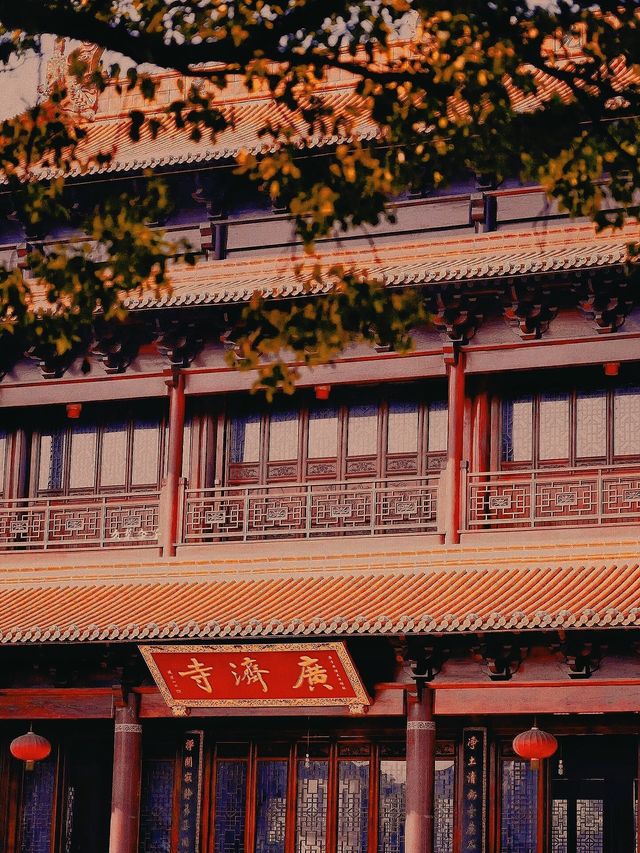 2024一定要同好朋友去芜湖旅行啦!