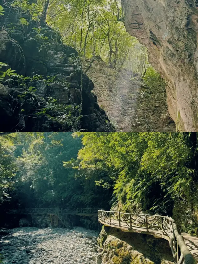獨特風景的峽谷之巔。