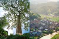 時光似乎凝固在800年前的福建培田古村落。
