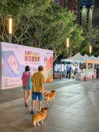 深圳…不來真的會後悔‼️
