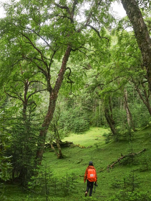 迪慶·神居地九湖一山。