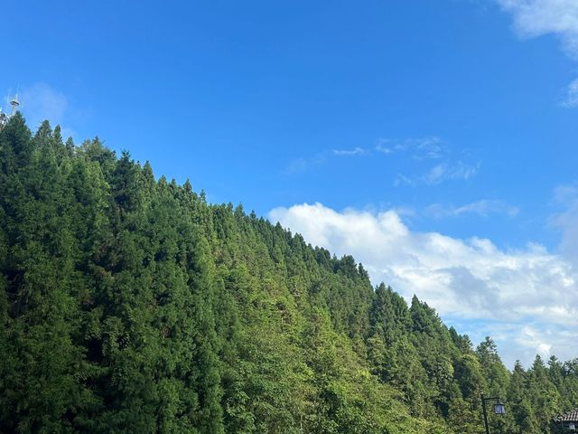 湖北恩施坪坝營｜又是一幅艷麗的山水畫。