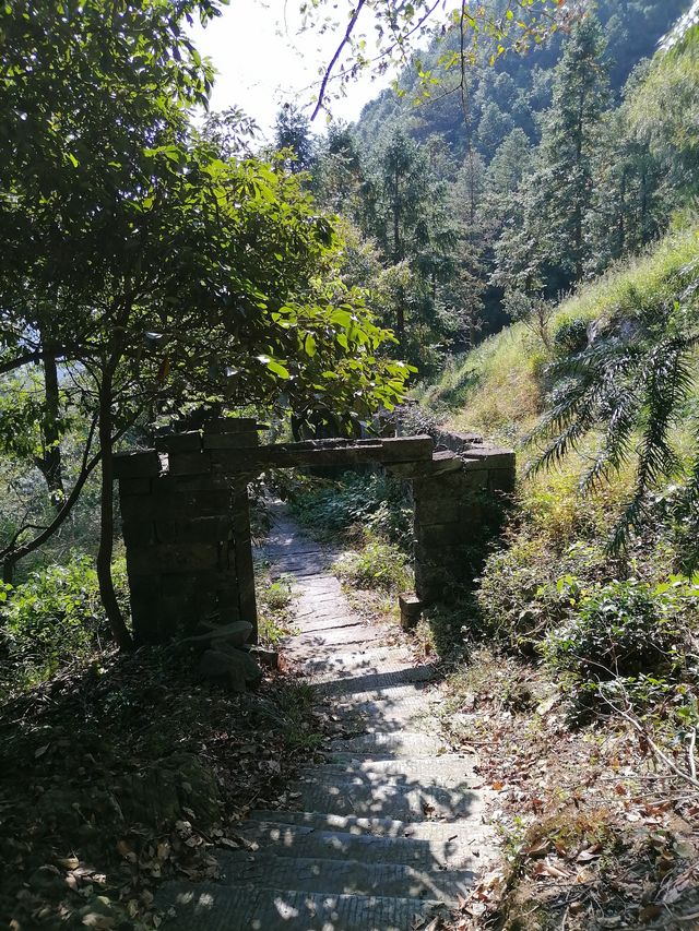 徒步榉根嶺古道丨千年古道丨國慶節避擁遊玩的好地方。