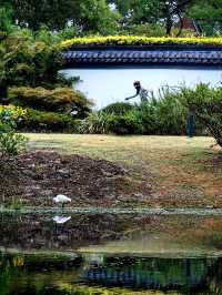 蛻變——和平公園。