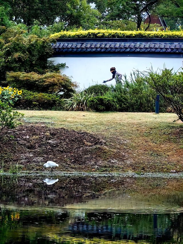 蛻變——和平公園。