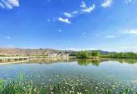 濕地之韻，白銀之美——水川濕地公園。