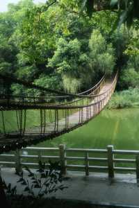 總有一次在公園相遇吧，我怕我會愛上這裡。