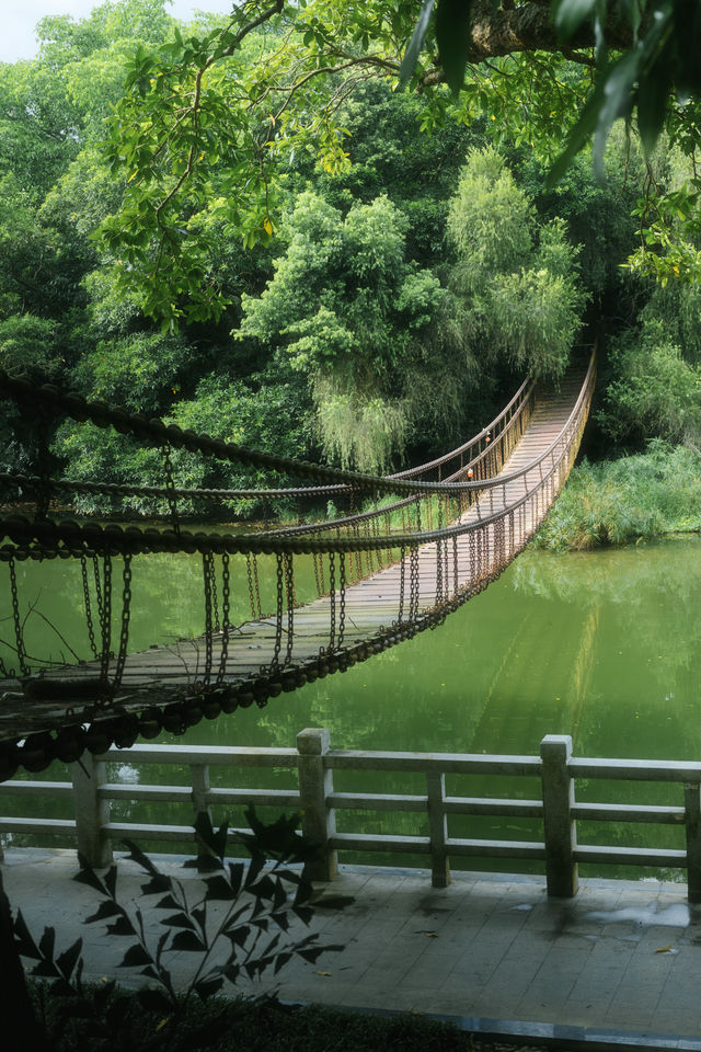 總有一次在公園相遇吧，我怕我會愛上這裡。