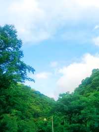 很涼快的小縣城，夏天避暑一定要來。