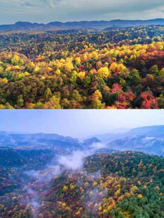 The Most Beautiful Autumn Scenery on the Weekend - Xiaocaoba, Zhaotong. 