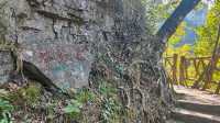 喀斯特世界自然遺產地——施秉雲台山。
