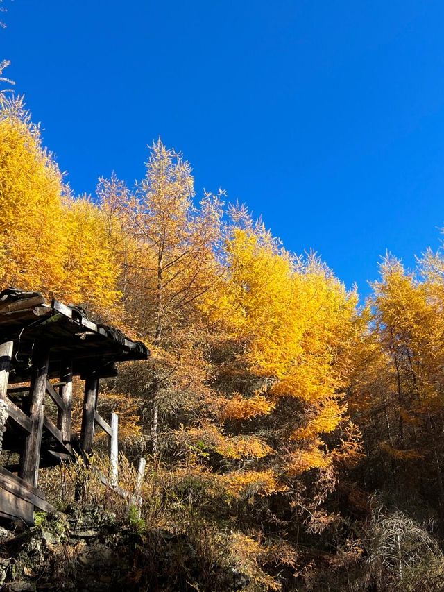 成都周邊徒步 賞秋小眾地方。