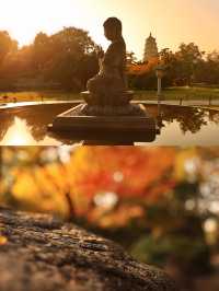 先看大雁塔紅楓，再看千年古銀杏樹吧。
