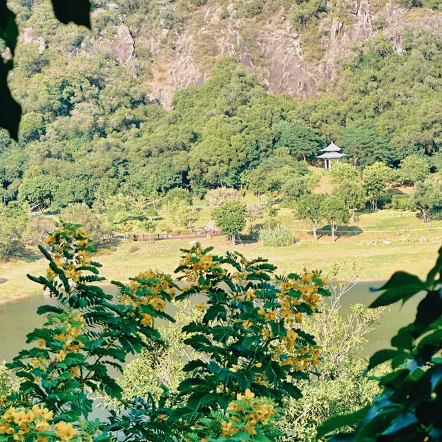 廈門植物園攻略！運動+吸氧+賞景~