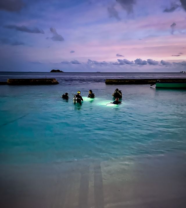馬爾代夫 艾拉胡島浮潛天堂。