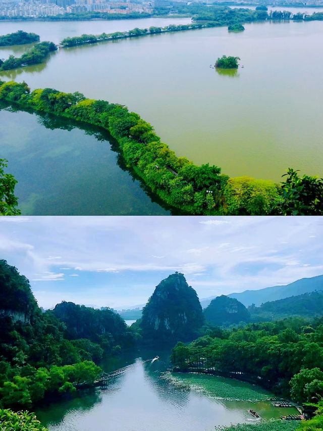 在肇慶星湖畔邂逅大自然的美妙時刻。