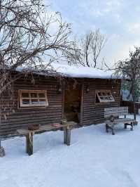 深圳雪景木屋阿勒泰！。