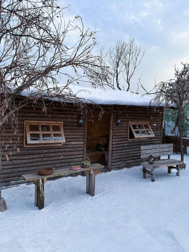 深圳雪景木屋阿勒泰！。