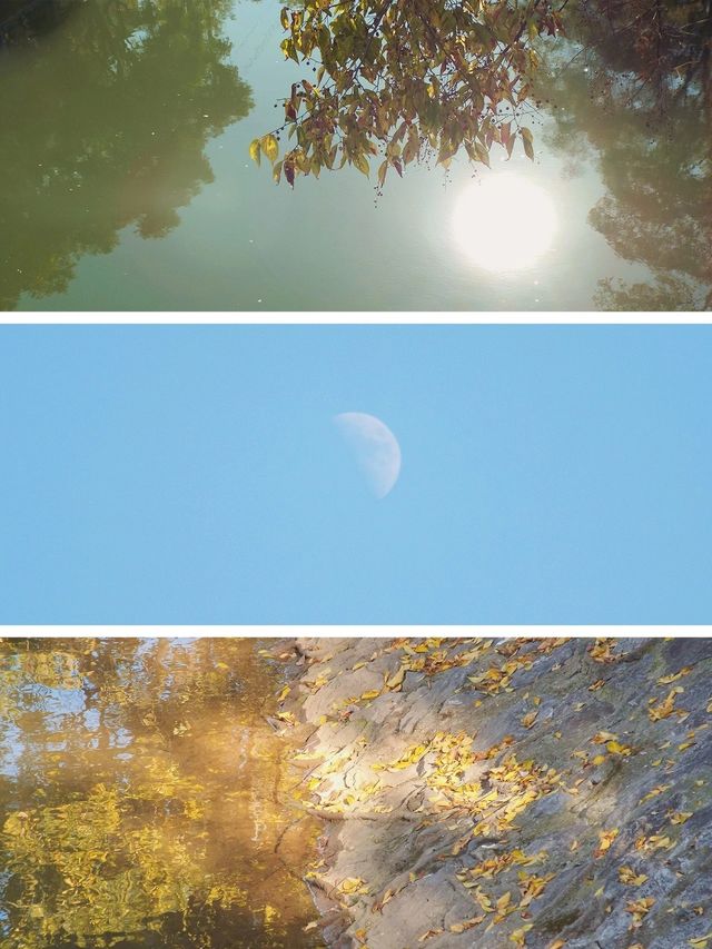 大觀河畔邂逅一座拱橋和一場秋季美景。