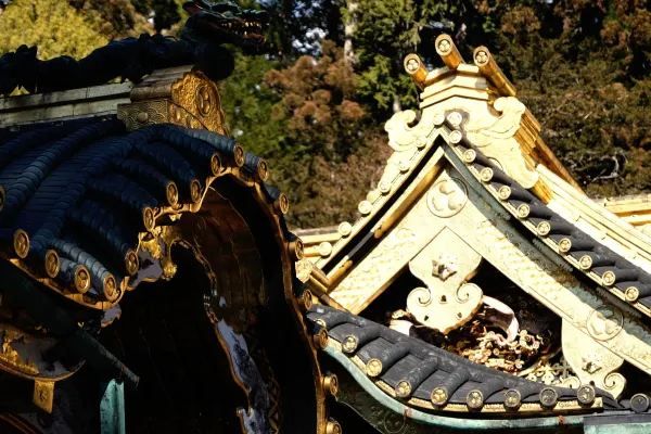 Explore Nikko in a Day with Tobu Pass