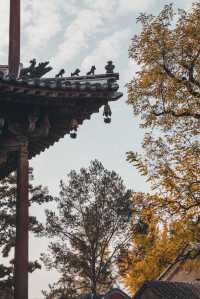 獨樂寺 | 無上國寶，獨一無二。