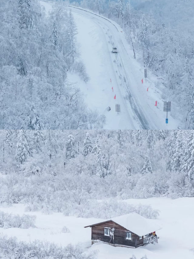 大東北在冬日旅行賽道無對手 7日攻略。