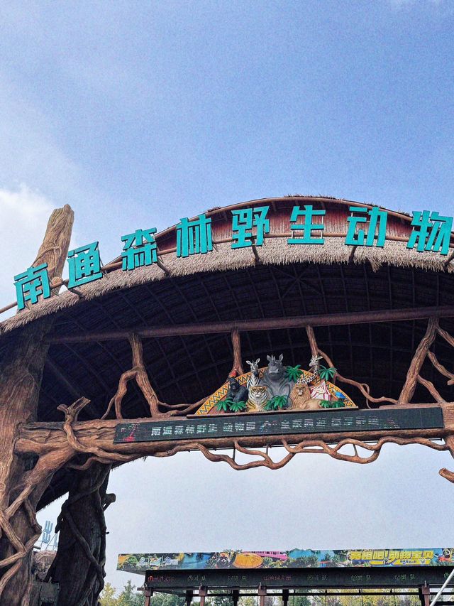 南通 | 森林野生動物園   非常適合帶小朋友。