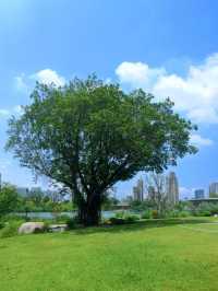 福建福州晉安湖公園 | 穿越時光之旅。