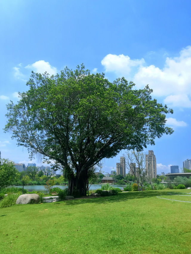 福建福州晉安湖公園 | 穿越時光之旅。 福建福州晉安湖公園 | 穿越時光之旅。