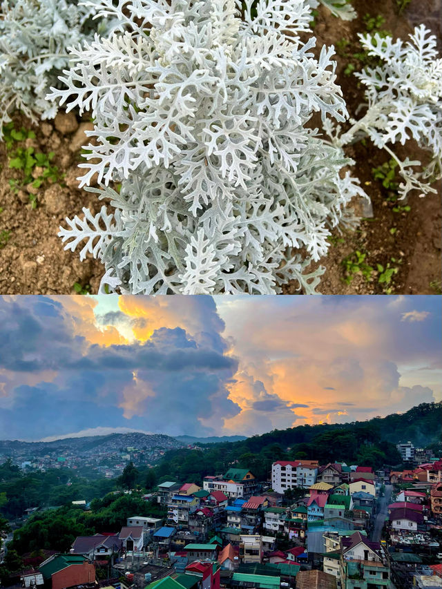 碧瑤的山間寶藏之旅。