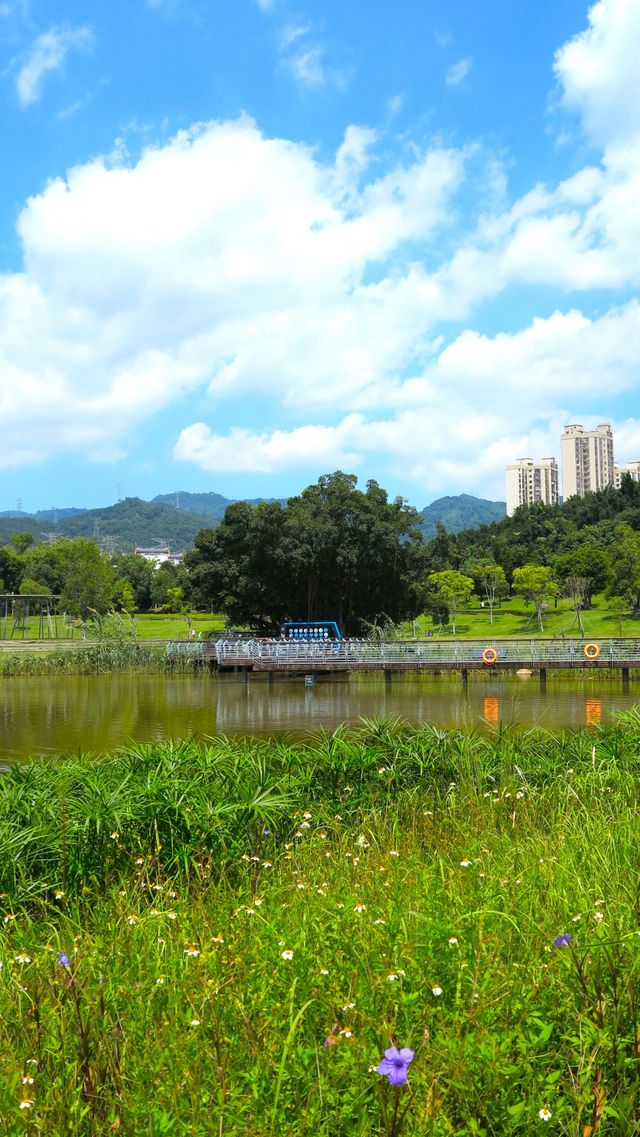 牛岗山公園雨花溪湖。