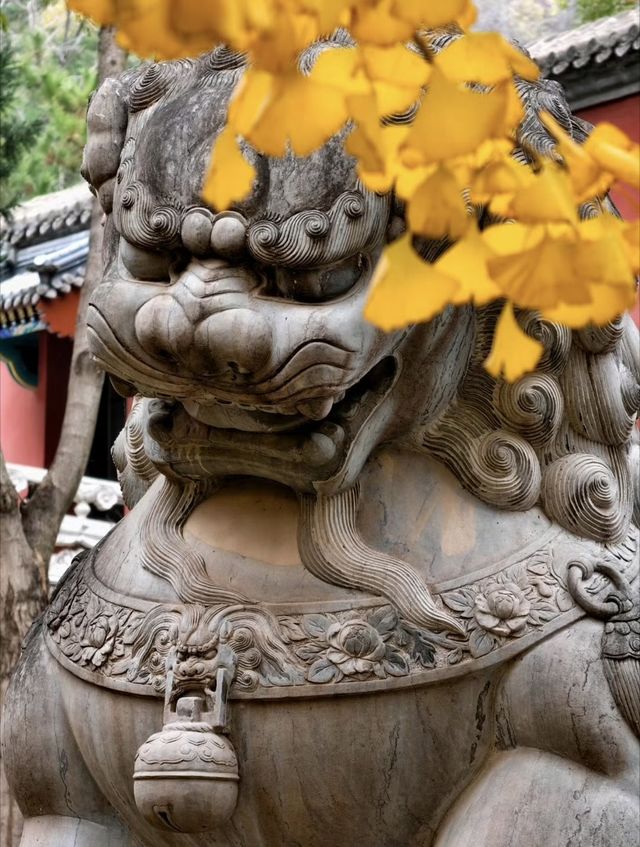 北京·白瀑寺。