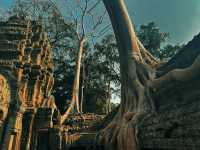 Angkor Wat 72-Hour Temple Adventure